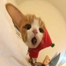 ธีรศิลป์ แดงดา avatar