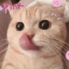 ณรงค์ฤทธิ์ แก้วมา avatar